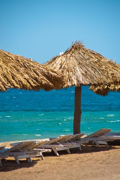 Jasmine Village Hurghada Exterior foto