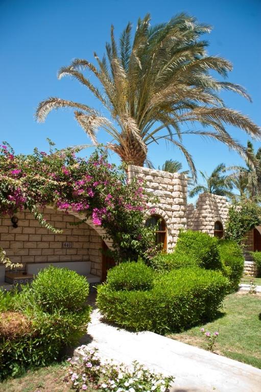 Jasmine Village Hurghada Exterior foto